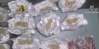 Zeci de percheziții. Grup mare de traficanți de droguri, destructurat de polițiștii și procurorii de la „Crimă Organizată”