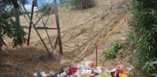 (FOTO) Amendați și puși să strângă, selectiv, gunoiul aruncat ilegal