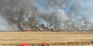 (UPDATE/VIDEO) Incendiu puternic pe un câmp din Spataru