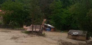 (VIDEO/FOTO) UPDATE. Urmările ploilor abundente de pe Valea Buzăului. Primele probleme