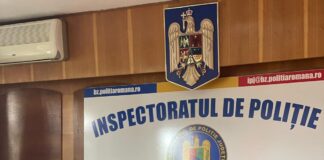Poliția, bilanț pe primele cinci luni din 2023. Infracțiunile la regimul rutier, în creștere. Criminalitatea, în scădere
