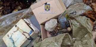 (VIDEO) Braconieri în arest. Vânau urși și cerbi, cu ajutorul unor câini agresivi. Ce au descoperit polițiștii la percheziții