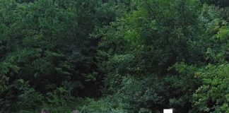 (FOTO) Turiști cu mașina împotmolită, salvați de polițiști și jandarmi