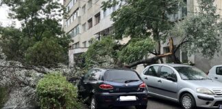 (UPDATE/FOTO) Copaci căzuți, ISU intervine. Mesaj RO-Alert de vreme severă la Buzău