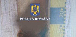 (VIDEO) Descinderi la vânători. Zeci de trofee de mistreț și cerb, confiscate. Doi bărbați, în arest