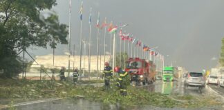 (FOTO) Primele efecte ale vijeliei și ploilor torențiale. Drum blocat, arbori căzuți