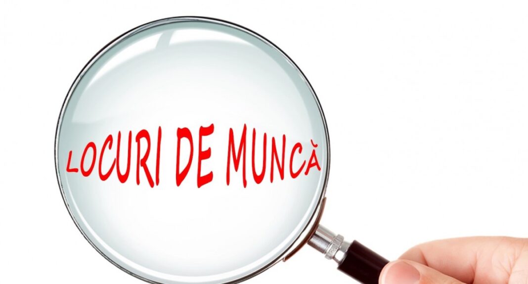 Locuri-de-munca