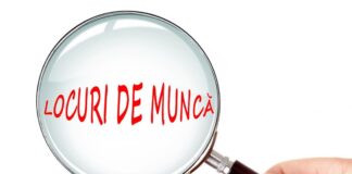 Peste 200 de locuri de muncă, disponibile în județ. Vezi lista AJOFM, cu meseriile căutate!