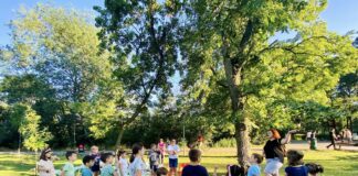 Școala din Parc, noi activități în această săptămână. Iată programul!