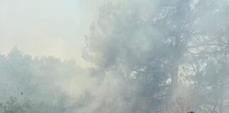 (FOTO) Șase pompieri buzoieni, în misiune în Grecia