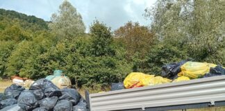 (FOTO) SIRIU. ,,Strada nu este tomberonul nostru”. Voluntarii au adunat sute de saci cu gunoaie