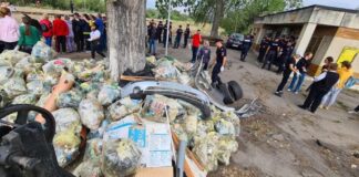 (FOTO) Tone de deșeuri strânse în cadrul campaniei ,,Let’s Do It, România”, în zona de nord a Buzăului