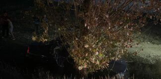 (FOTO) Femeie rănită, după ce și-a scăpat mașina de sub control