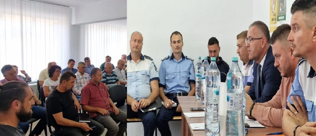 întâlnire permise auto