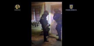 (VIDEO/FOTO) UPDATE. Cei doi profesori și alți șase suspecți, în arest! Percheziții de amploare, zeci de persoane duse la audieri. Grupare de traficanți de droguri de mare risc