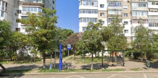 Stație Trans Bus, suspendată temporar