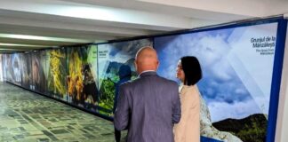 (VIDEO/FOTO) Pasaj subteran în Chișinău, cu imagini din județul Buzău. Mesajul președintelui Neagu, prezent în capitala Republicii Moldova