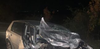 Impact fatal. Buzoian mort într-un accident pe E85, la Oreavul