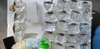 (VIDEO/FOTO) Râmnicean traficant de droguri, arestat. Ce au descoperit anchetatorii la percheziții