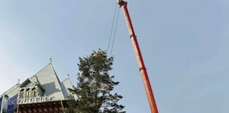 (FOTO) ,,Povestea” bradului de Crăciun din Piața Dacia