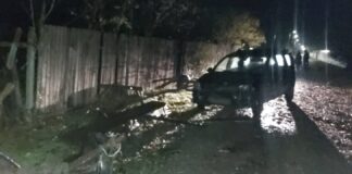 (FOTO) Șofer și căruțaș beți, grav accident la Brădeanu
