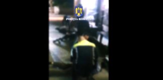 (VIDEO) Proxenet săltat din timpul ,,negocierilor”. Dispariția prostituatei a dus la prinderea bărbatului