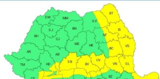 Cod galben în zona de munte a județului Buzău