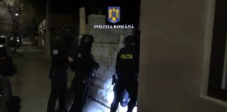 PERCHEZIȚII. Produse contrafăcute, vândute pe net