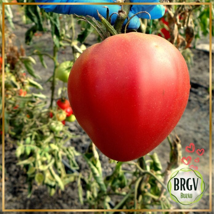 424714043_799387292209497_3519632395546311915_n