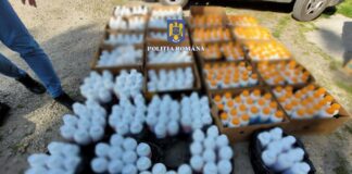Scandalul legumelor toxice. Cinci persoane, trimise în judecată. Ce spun procurorii