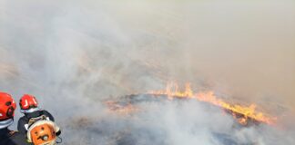 (VIDEO/UPDATE) Forțe suplimentate. Incendiu de vegetație la Năeni