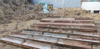 (FOTO) Percheziții. Ce au furat doi săteni din Ulmeni