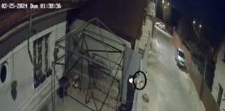 (FOTO) Pui de Huskey furat de un adolescent. Cum s-a încheiat cazul