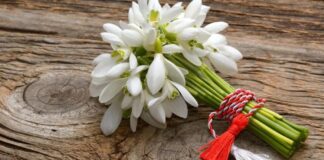 Mesajul primarului orașului Pătârlagele, cu ocazia Mărțișorului