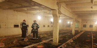 Incendiu la o fermă de păsări din Amaru