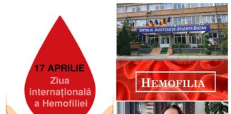 (VIDEO) Dr. Gina Anica, despre bolile de sânge. Azi: Ziua Internațională a Hemofiliei