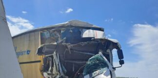 (FOTO) Accident între două TIR-uri, la Mihăilești