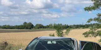 (UPDATE/FOTO) Accidente la Mărăcineni și Maxenu. Trei persoane rănite