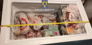 (FOTO) Percheziții la braconieri. Ce au descoperit polițiștii buzoieni