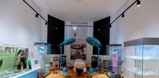 (FOTO) INEDIT. Expoziție de excepție, despre istoria Spitalului Brătianu