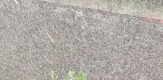 Rupere de nori în Buzău. Mesaj RO-Alert trimis de ISU