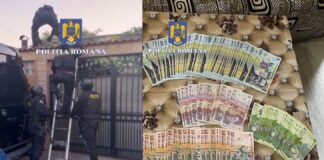 (VIDEO) Zeci de percheziții. Contrabandă cu țigări, rețea destructurată