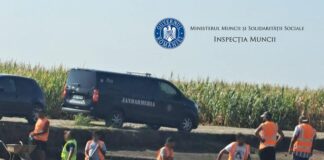 (FOTO) Au fugit ca potârnichile, să scape de inspectori. Muncă la negru, pe șantierul autostrăzii, în zona Stîlpu