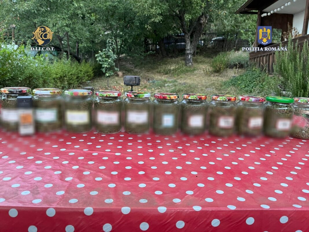 IMG-20240907-WA0002