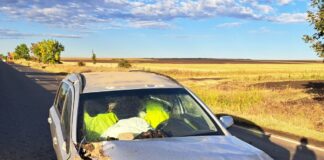 (FOTO) Bărbat rănit pe E85. Accident în Grebănu