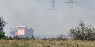 (UPDATE/VIDEO) Incendiu de vegetație în Zona Industrială