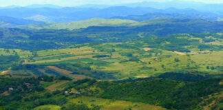 Comuna Murgești, Buzău, locul unde longevitatea este deja o tradiție. Senatul Științific al Fundației Dan Voiculescu adaugă o nouă comunitate pe „Harta Longevității în România”