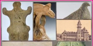 Vizite ghidate GRATUITE, la Muzeul Județean Buzău. Iată programul!