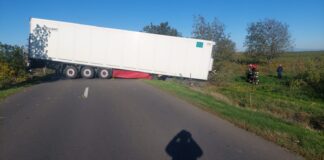 (FOTO) Trafic blocat. Camion încărcat cu flori răsturnat între Albești și Smeeni