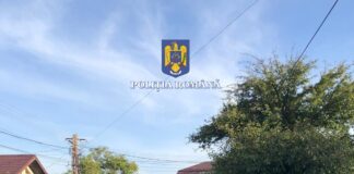 (VIDEO) Razie în Râmnicu Sărat. Iată rezultatele acțiunii!